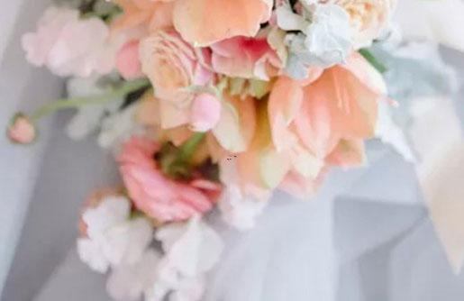 12881-.雙子座星座樣子 12881-.雙子座星座樣子