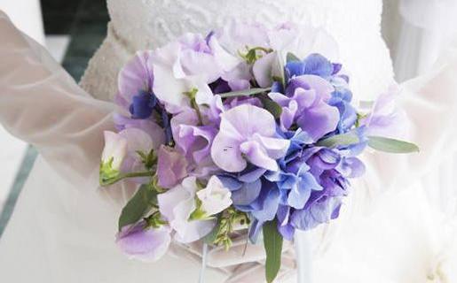 12748-.含有星座的網名 12748-.含有星座的網名