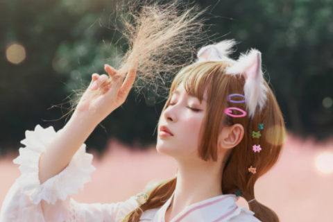 屬兔和屬虎的適合做夫妻嗎 屬兔和屬虎女適合做夫妻嗎
