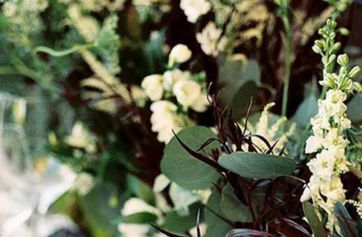 12172-.3月13日生日書,3月13日是什么星座:雙魚座 12172-.3月13日生日書,3月13日是什么星座:雙魚座