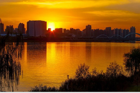 夢見螞蟻窩被挖開?夢見螞蟻成群和螞蟻卵成群