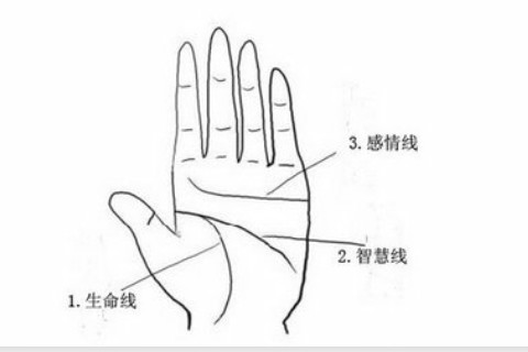 川字紋的女人是什么命?川字紋手相代表什么