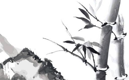 10117-.2023年屬龍生肖運(yùn)勢
