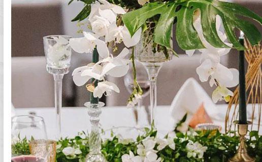 11833-.十二生肖對星座 11833-.十二生肖對星座