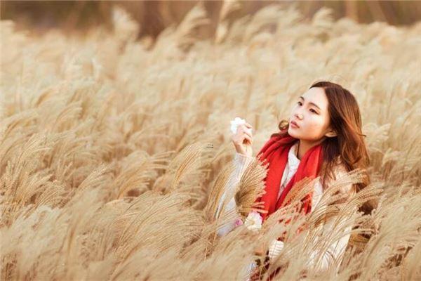 17810-.夢見閨女掉水里了是什么意思