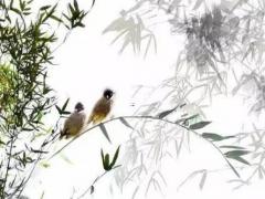 姓劉女孩取名字洋氣兩個字