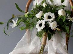 男巨蟹座一區和女天秤座三區配對