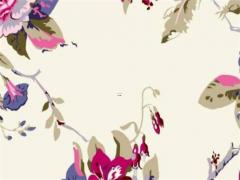 2023屬男屬牛的財運如何