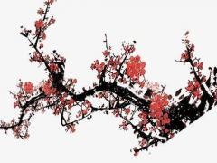屬虎姓梁女孩名字