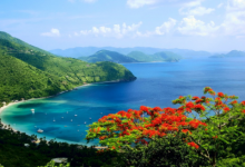 屬鼠和屬羊的人在一起會(huì)怎么樣 屬鼠和屬羊生什么屬相寶寶