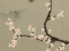 2023屬龍人的全年運勢女性