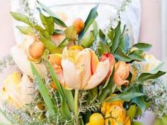 男處女座二區和女處女座二區配對