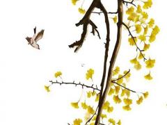 1952年屬龍人今年財運如何2022 如何提升財運