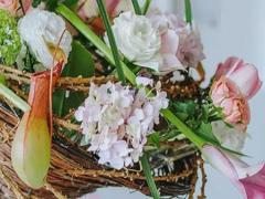 6月25日生日書，6月25日是什么星座：巨蟹座