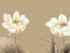 71年生人在2022年運勢如何
