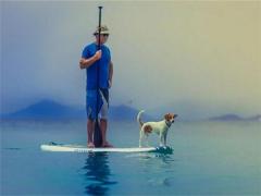 三年不說夢，神鬼不敢動