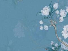 2023年的屬兔怎么樣