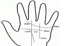 女人手大代表什么命?手掌大的女人性格運勢