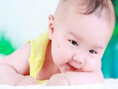 姓李的男孩名字大全屬虎