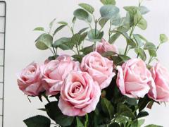 星座分析怎么看