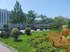 夢見摘黃杏是什么意思