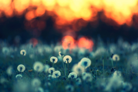 白羊座和摩羯座配嗎 白羊和摩羯座匹配程度是多少