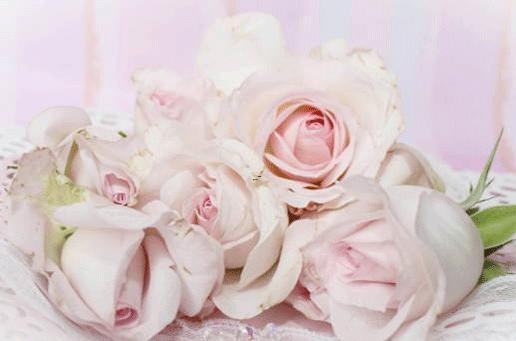 14167-.十二星座好女友