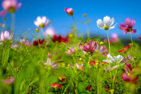 天蝎座和射手座配不配 天蝎和射手適合談戀愛嗎