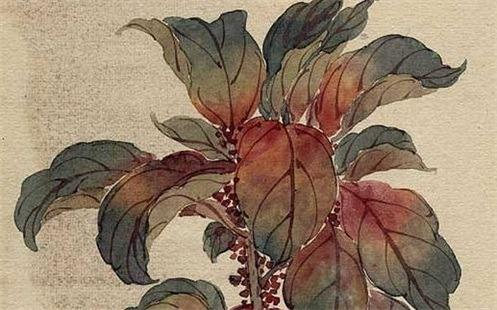 2023年為什么是黑兔年 什么是黑兔年 2023年為什么是黑兔年 什么是黑兔年