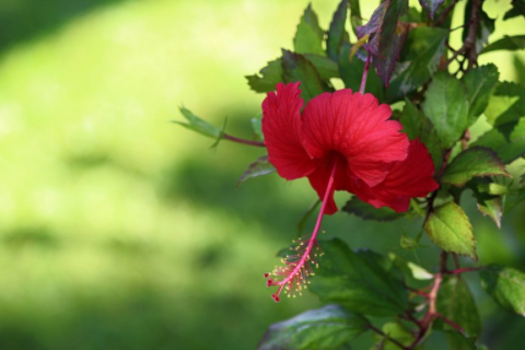渣男之首是什么星座 渣男星座排行榜前三名
