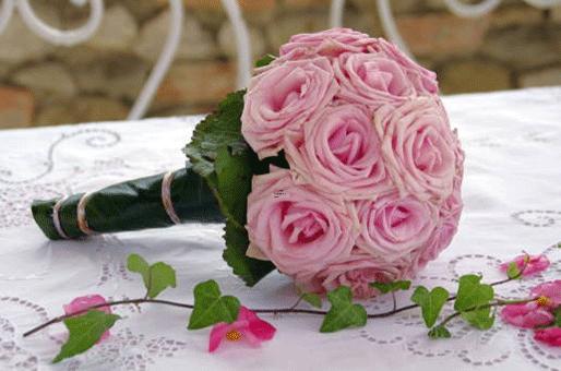 摩羯座女生和巨蟹座男生做夫妻好不好 摩羯座女生和巨蟹座男生做夫妻好不好