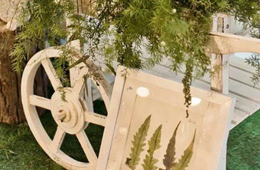 男獅子座二區和女天秤座三區配對 男獅子座二區和女天秤座三區配對