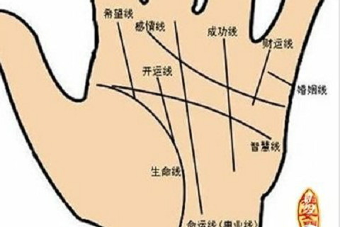 川字紋的女人命運手相?川字紋的女人命運好不好