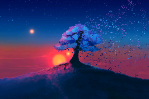 什么星座最笨 星座最笨第一名