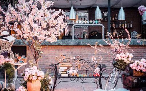 十二星座哪個星座最才華 十二星座哪個星座最才華