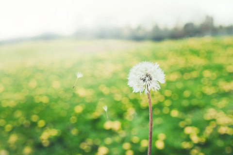射手座和天秤座相配嗎 射手和天秤適合做朋友嗎