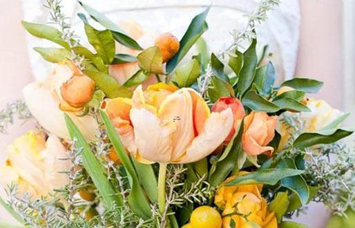 男天蝎座二區和女雙魚座三區配對 男天蝎座二區和女雙魚座三區配對