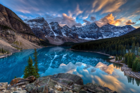 女屬雞的和什么屬相最配 女屬雞最配的屬相是什么