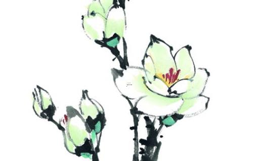 2023年黑兔年屬兔的會死嗎 2023年黑兔年屬兔的會死嗎