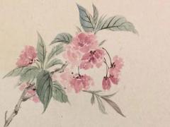 男孩取名虎年寶寶小名