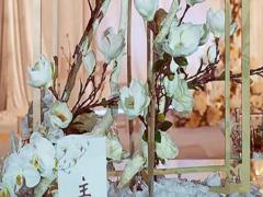 哪些星座愛上同星座會幸福