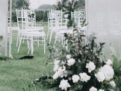 完美主義星座白羊