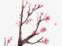 銘緣閣起名真的假的