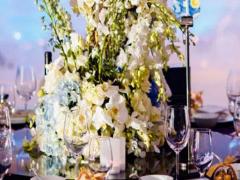 不同時間段出生的水瓶座性格