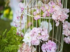 男天蝎座三區和女射手座三區配對