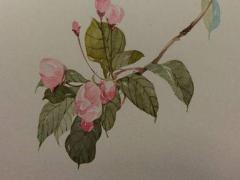 唯美好聽的名字