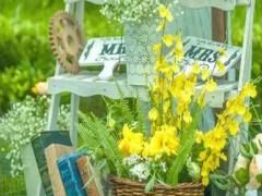 [月亮星座配對]月亮星座在天蝎座