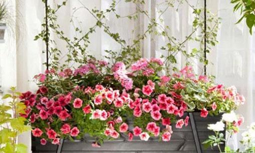 男金牛座一區和女金牛座一區配對 男金牛座一區和女金牛座一區配對