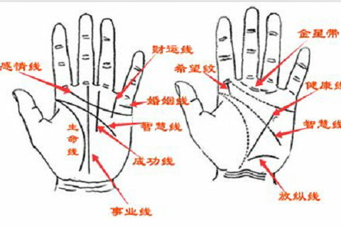 大拇指長痣好不好?大拇指長痣有什么寓意