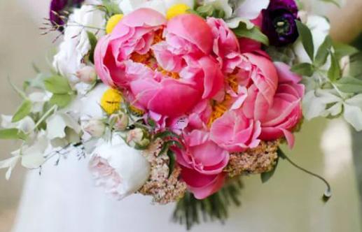 男摩羯水瓶座和女獅子座一區配對 男摩羯水瓶座和女獅子座一區配對